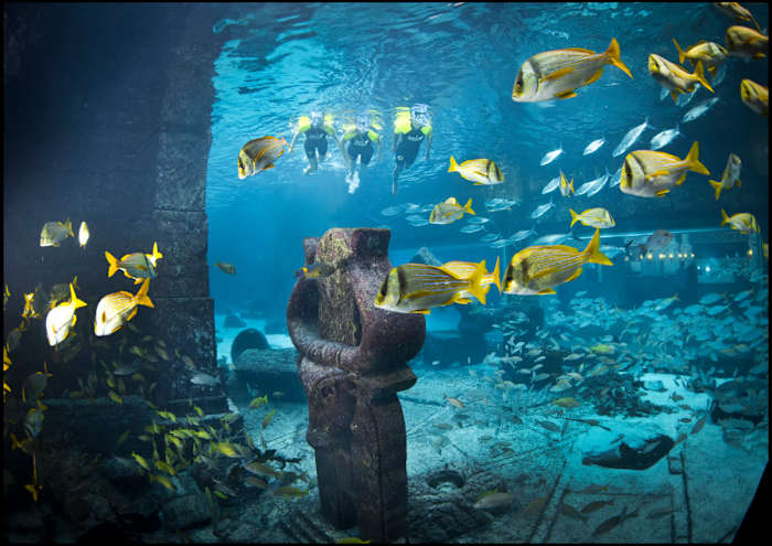 D81_2420 - GALLERY.jpg